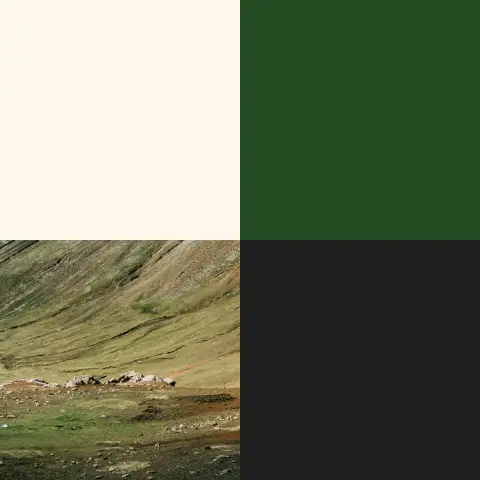 Palette de couleurs de l'identité visuelle de Alpha Tops, illustrant les couleurs crème, vert et anthracite inspirées des Andes.