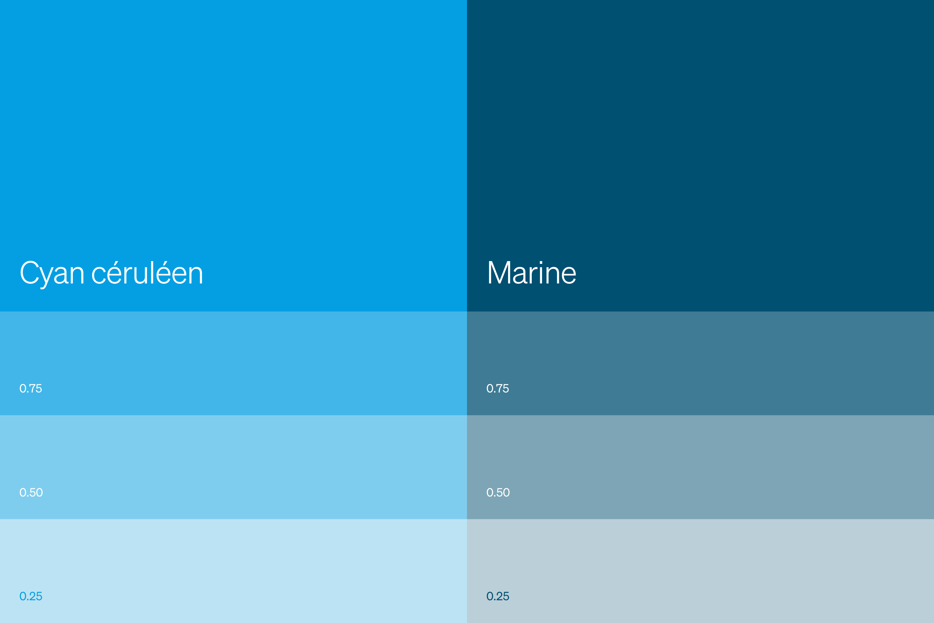 Palette de couleurs réalisée pour l'identité visuelle de WISE Philanthropy Advisors par aminima