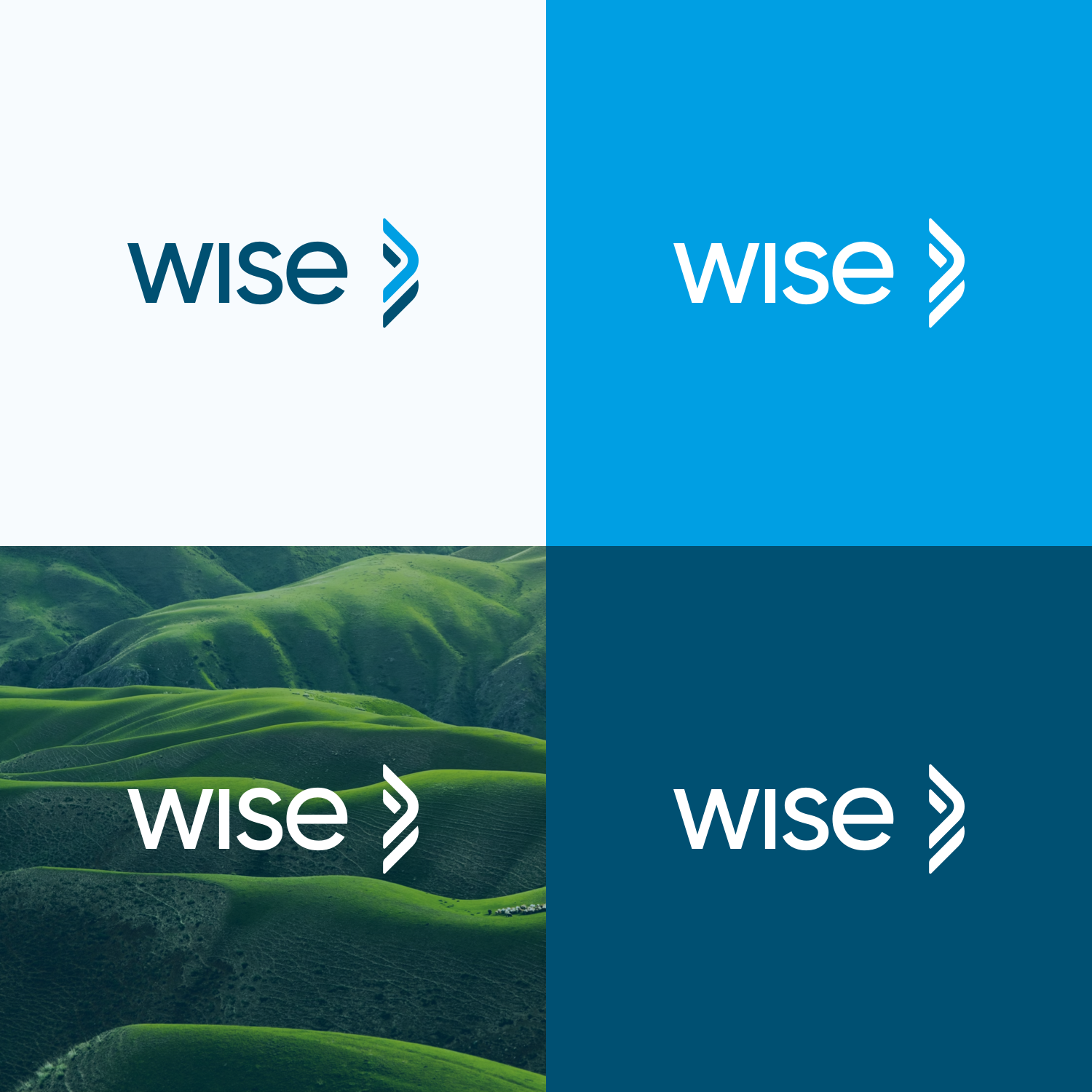 WISE Philanthropy Advisors